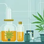 Cannabis Extraction Illustration